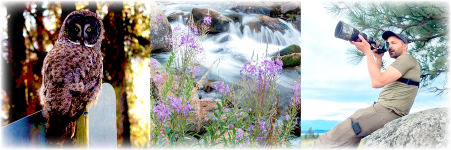 The Inn at Philipsburg & RV Park ✯ Southwest Montana ✯ National Historic District ✯ Historic Philipsburg ✯ Photography & Wildlife Viewing Beyond Compare