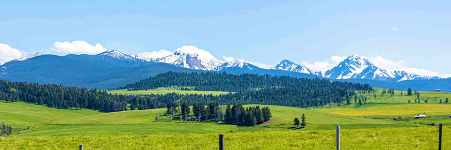 Spring Comes to the Flint Creek Valley