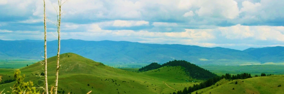 Summer Comes to the Flint Creek Valley